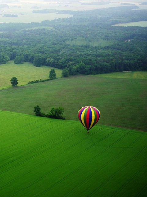 Balloon And Beautiful Landscape wallpaper 480x640