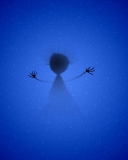 From The Deep wallpaper 128x160