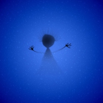 Das From The Deep Wallpaper 208x208