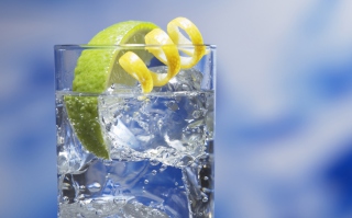 Free Gin And Tonic Cocktail Picture for Android, iPhone and iPad