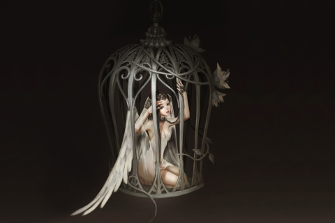 Das Angel In Cage Wallpaper 480x320