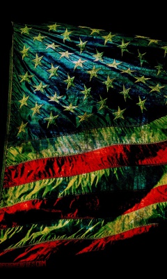 American Flag screenshot #1 240x400