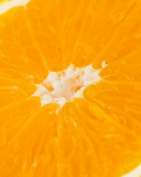 Sfondi Macro Orange 128x160
