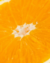 Fondo de pantalla Macro Orange 176x220