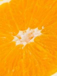 Das Macro Orange Wallpaper 240x320