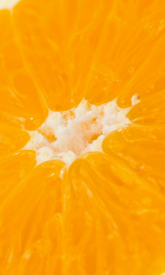 Das Macro Orange Wallpaper 240x400