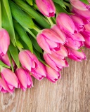 Beautiful and simply Pink Tulips wallpaper 128x160