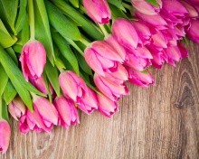 Beautiful and simply Pink Tulips wallpaper 220x176