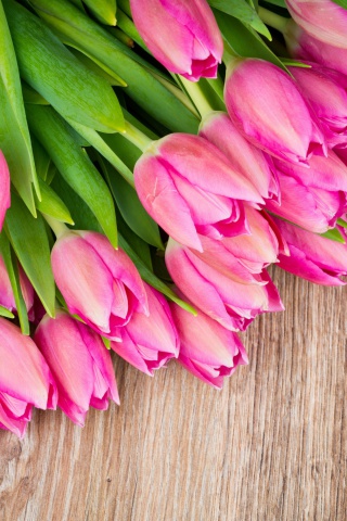 Обои Beautiful and simply Pink Tulips 320x480