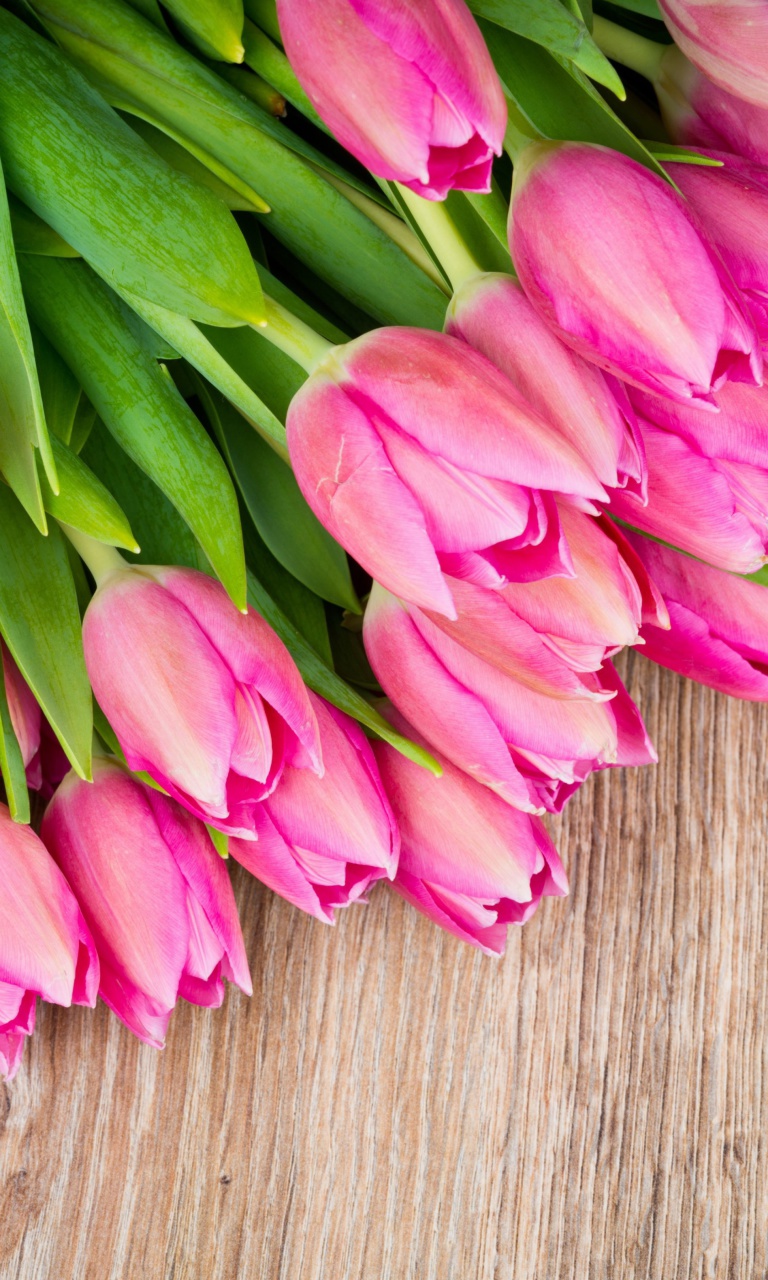 Beautiful and simply Pink Tulips wallpaper 768x1280