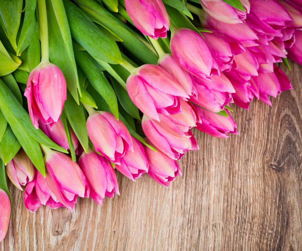 Обои Beautiful and simply Pink Tulips 960x800