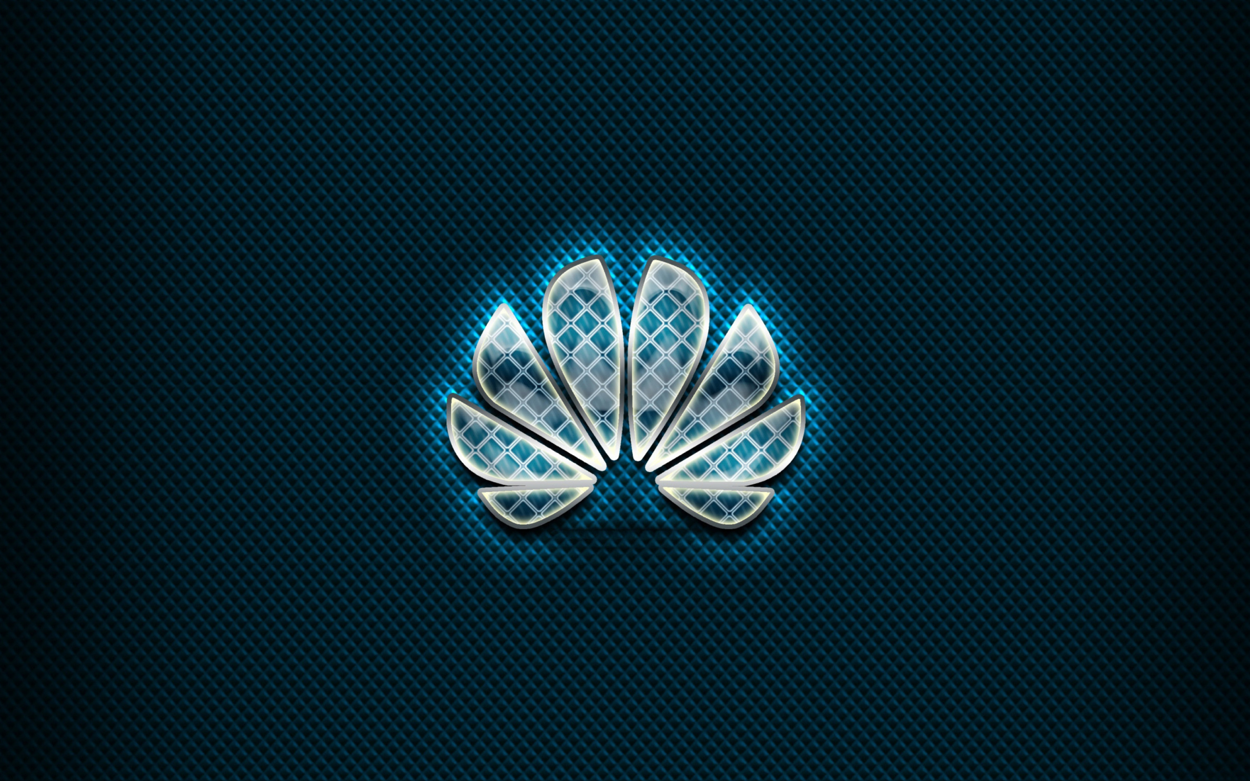 Das Huawei Blue Logo Wallpaper 2560x1600