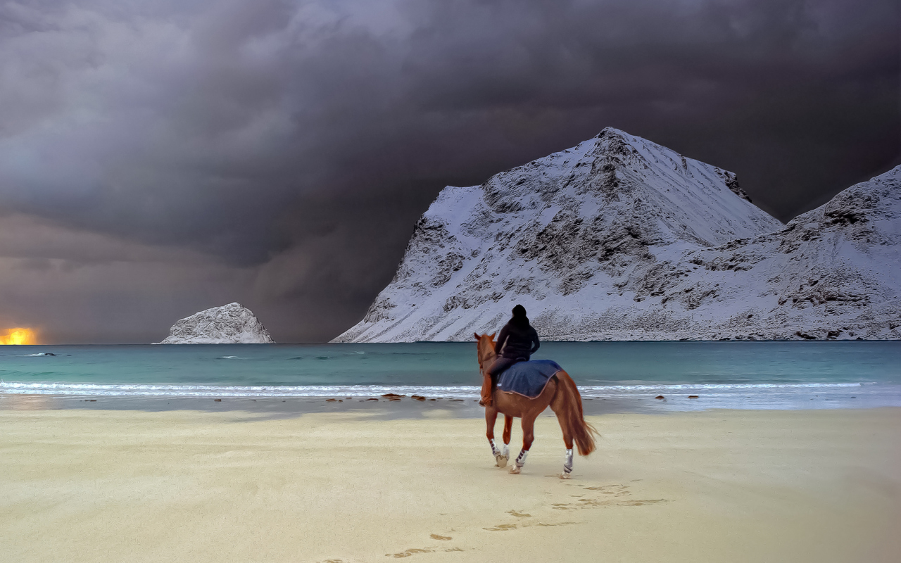 Das Horse Riding On Beach Wallpaper 1280x800
