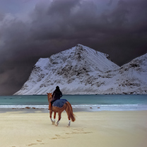 Обои Horse Riding On Beach 208x208