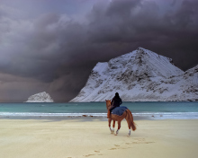 Horse Riding On Beach wallpaper 220x176