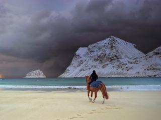 Das Horse Riding On Beach Wallpaper 320x240