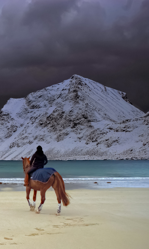 Das Horse Riding On Beach Wallpaper 480x800