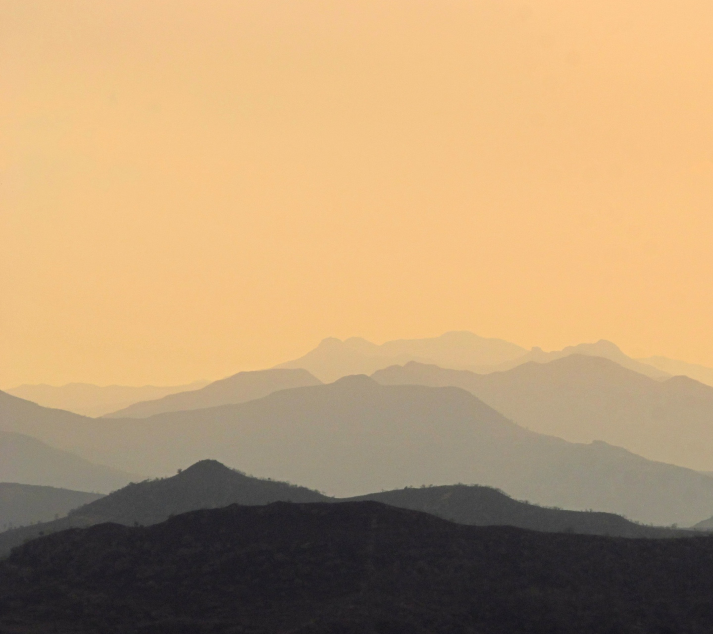 Screenshot №1 pro téma Foggy Mountains 1440x1280