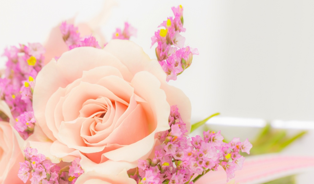 Pink rose bud screenshot #1 1024x600
