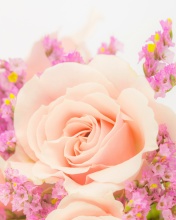 Sfondi Pink rose bud 176x220