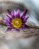 Purple Flower On Metallic Net screenshot #1 128x160