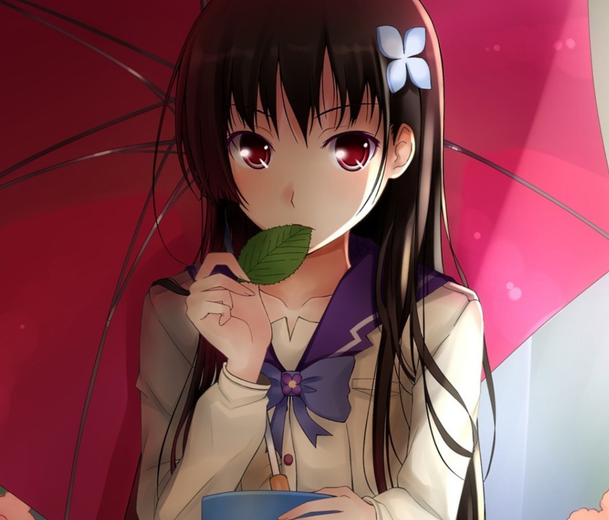 Fondo de pantalla Sankarea 1200x1024