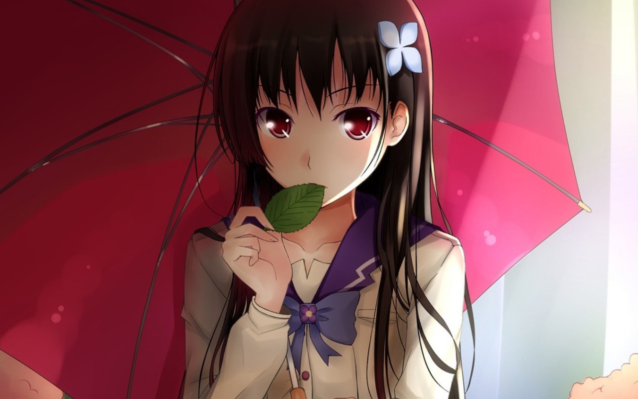 Das Sankarea Wallpaper 1280x800