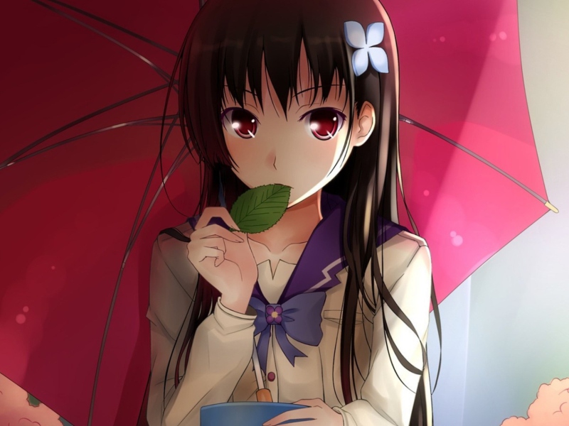 Sankarea screenshot #1 800x600