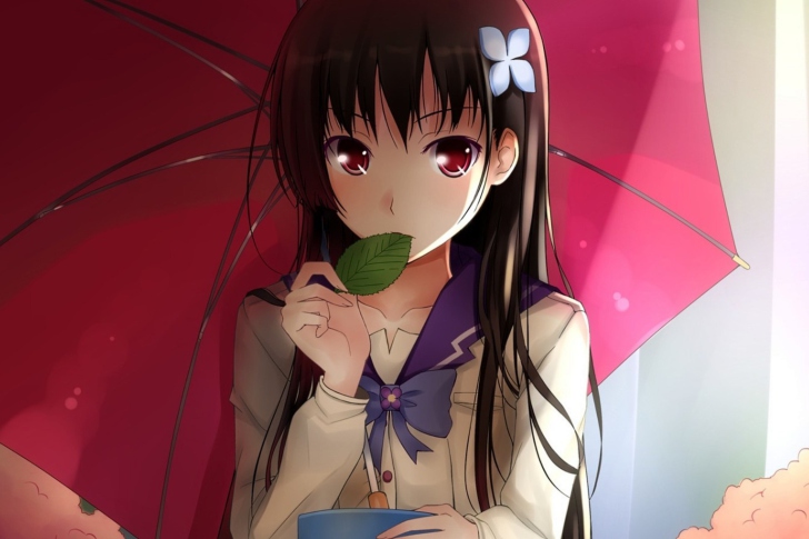 Sankarea screenshot #1