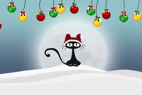 Das Christmas Cat Wallpaper 480x320