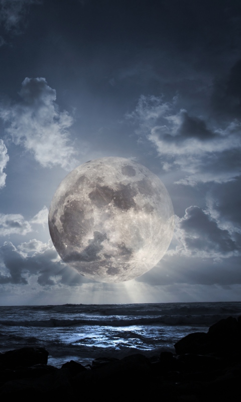 Fantastic Moon wallpaper 480x800