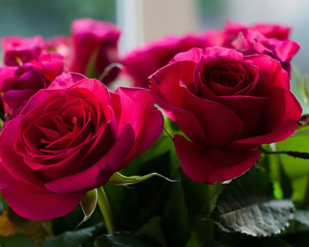 Fondo de pantalla Picture of bouquet of roses from garden 1280x1024