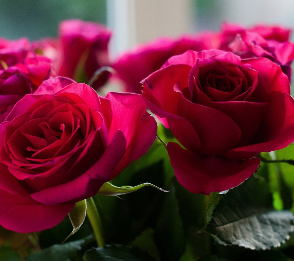 Fondo de pantalla Picture of bouquet of roses from garden 960x854