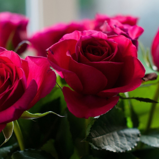 Картинка Picture of bouquet of roses from garden для телефона и на рабочий стол iPad mini 2