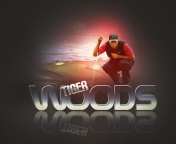 Screenshot №1 pro téma Tiger Woods 176x144