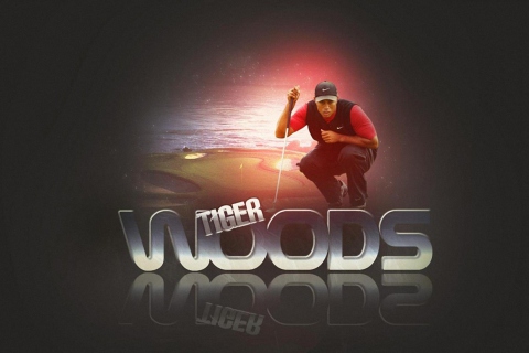 Das Tiger Woods Wallpaper 480x320