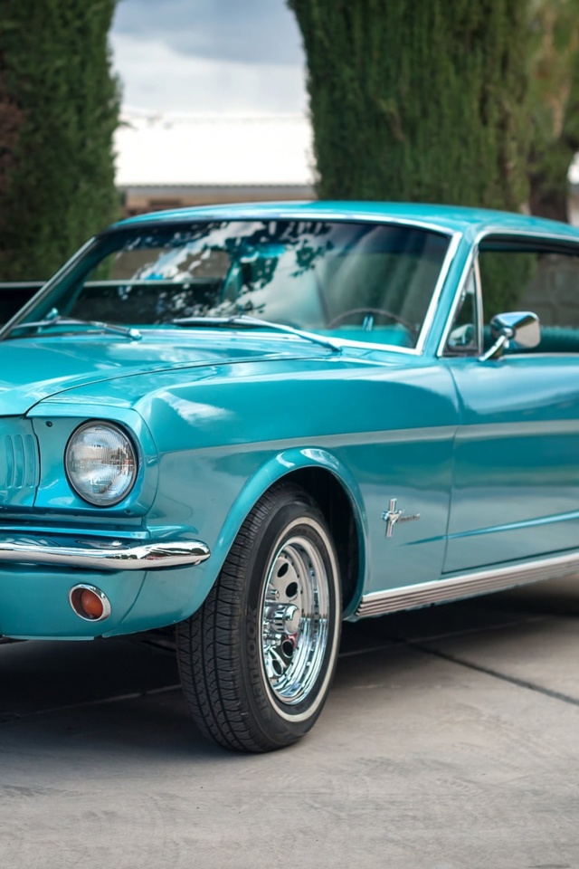 Ford Mustang screenshot #1 640x960