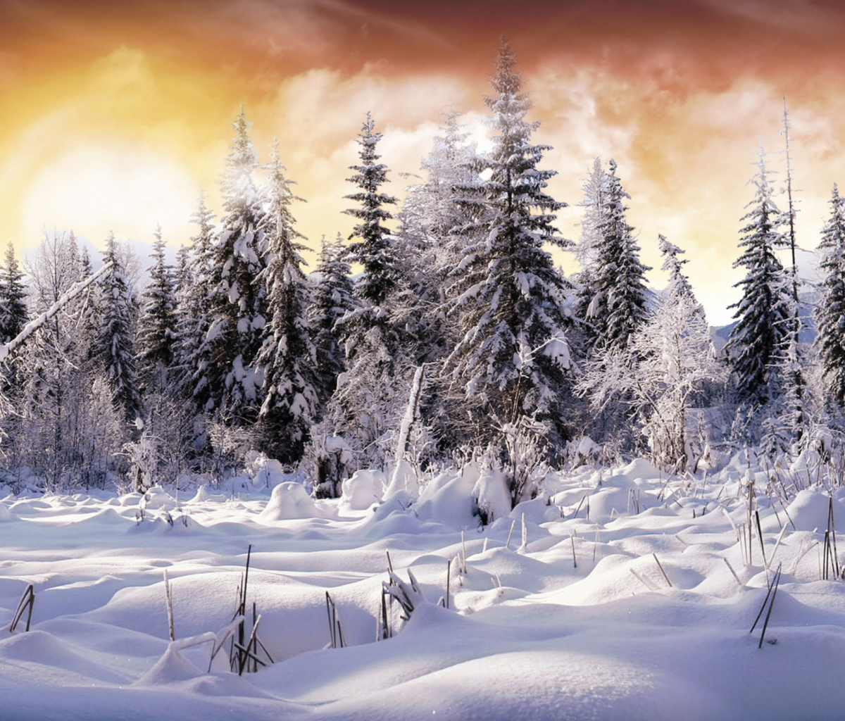 Winter Wonderland screenshot #1 1200x1024