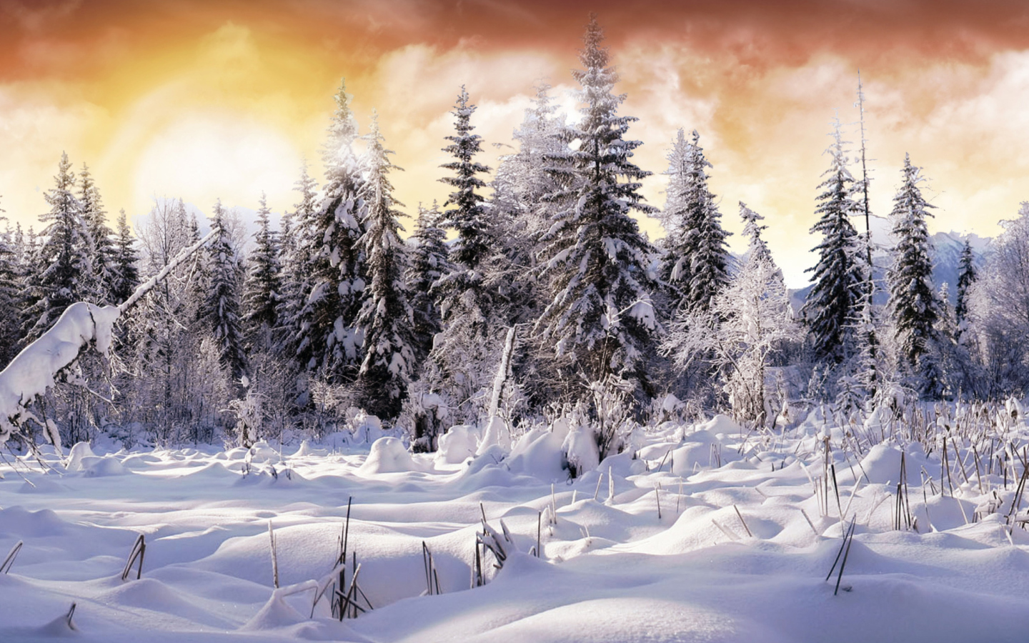 Sfondi Winter Wonderland 1440x900