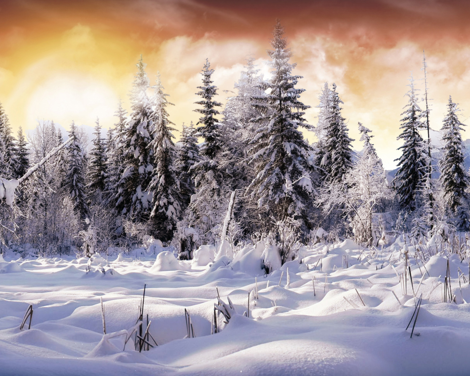 Das Winter Wonderland Wallpaper 1600x1280