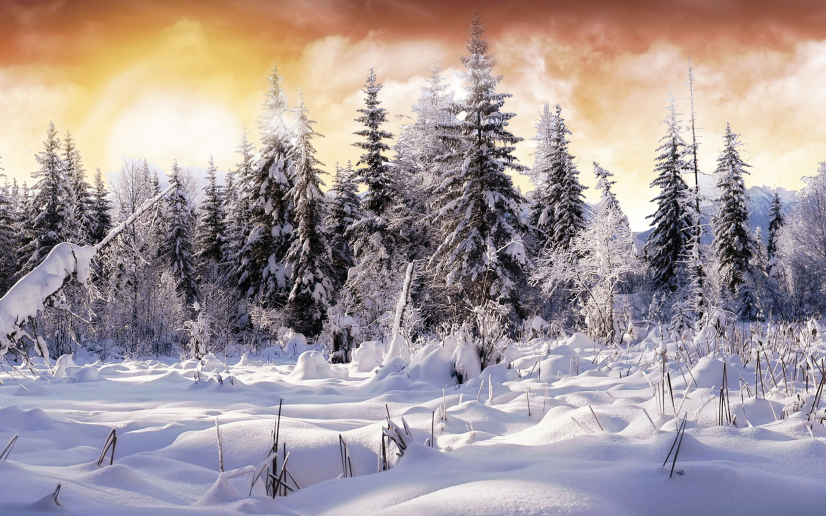Das Winter Wonderland Wallpaper 1680x1050