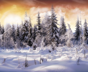 Das Winter Wonderland Wallpaper 176x144
