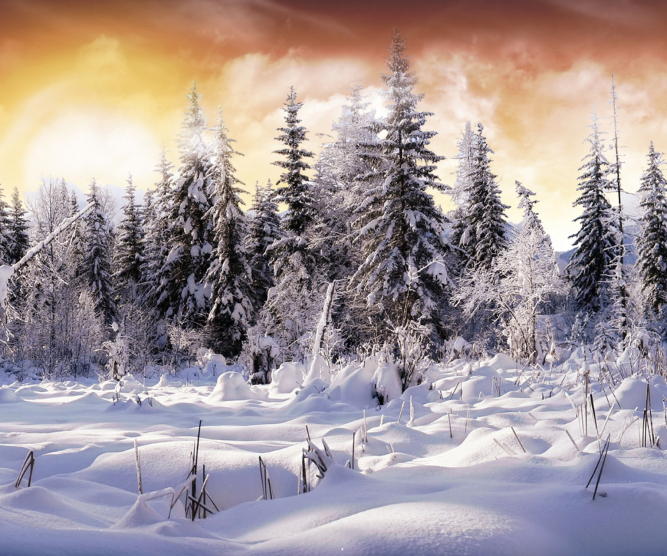 Das Winter Wonderland Wallpaper 960x800