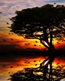 Das Tree And Red Sunset Wallpaper 128x160