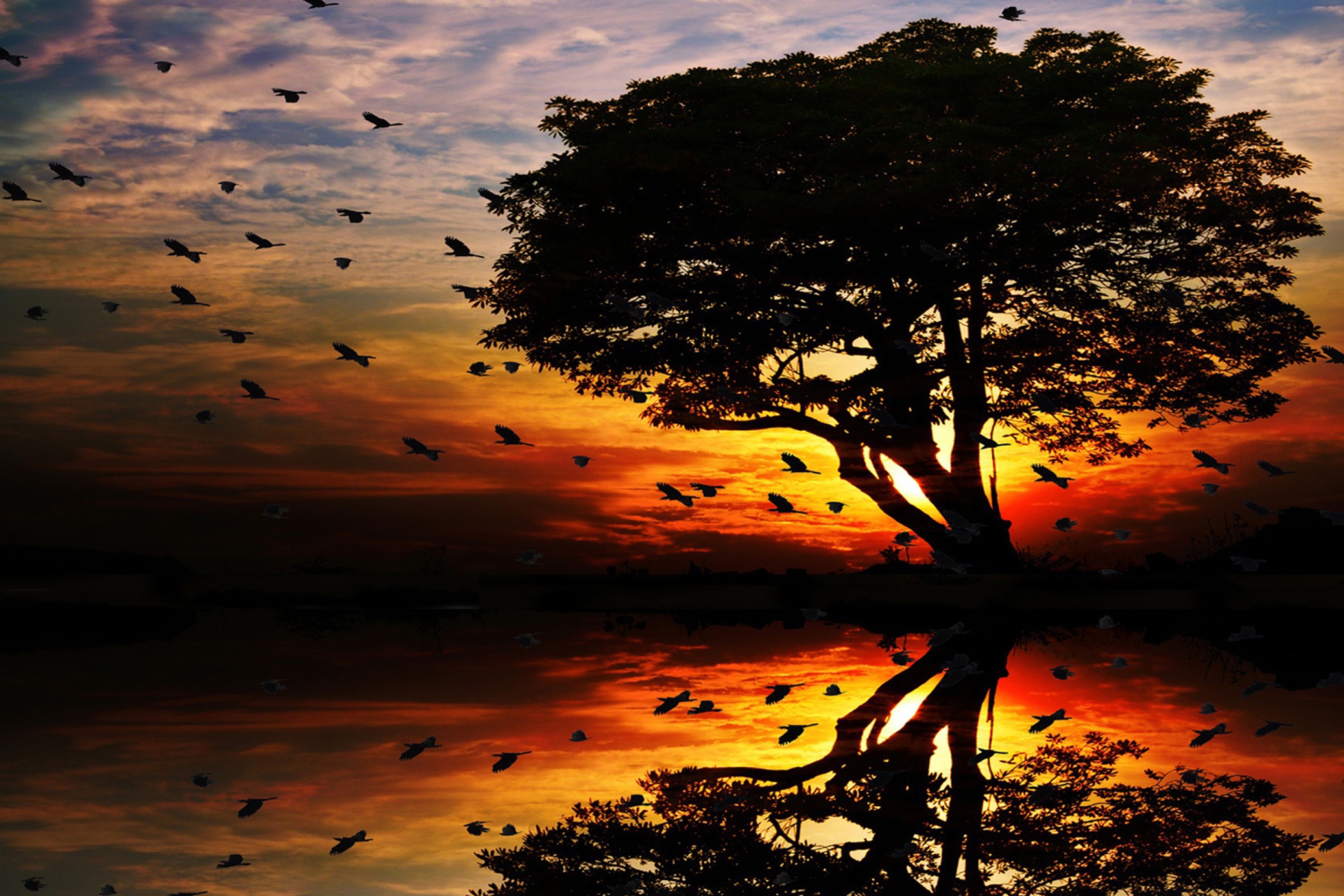 Tree And Red Sunset screenshot #1 2880x1920