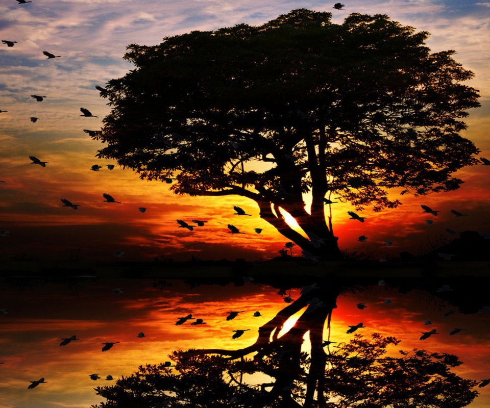 Das Tree And Red Sunset Wallpaper 960x800