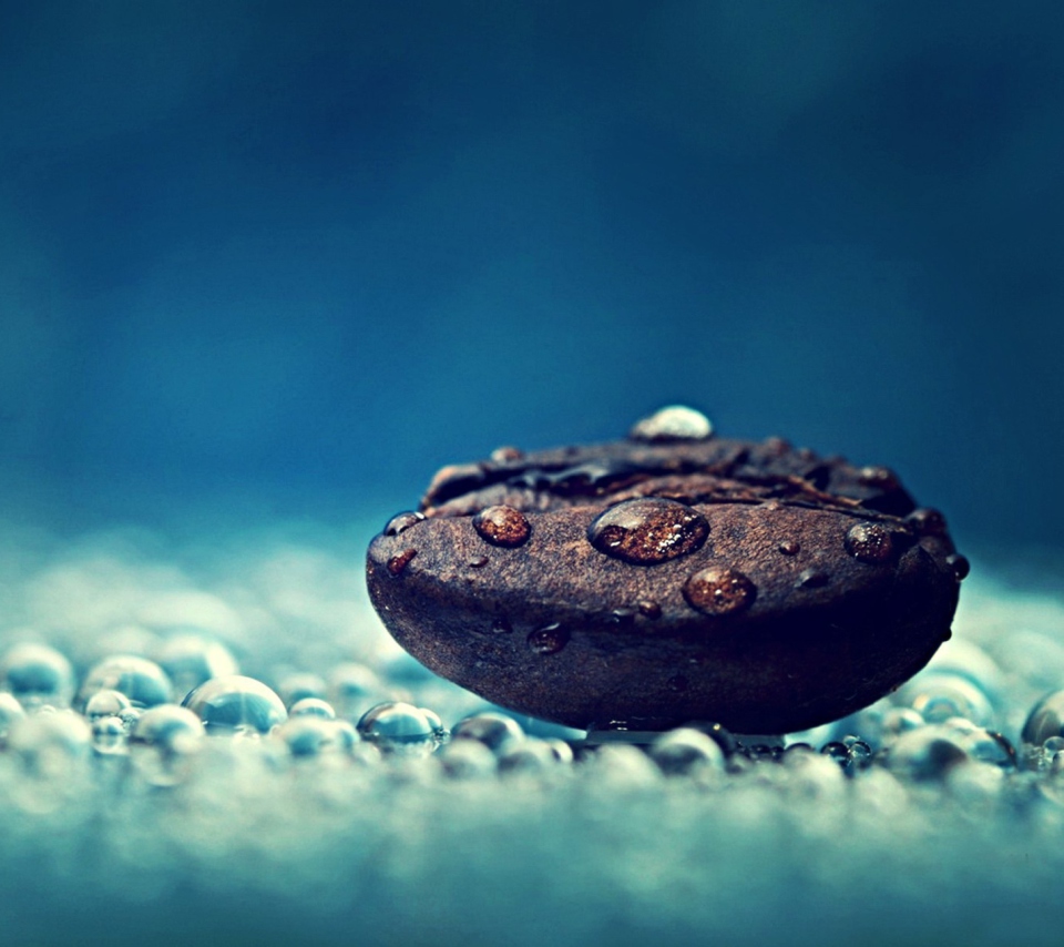 Coffee Bean Macro wallpaper 960x854