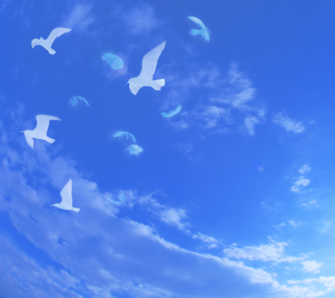 Обои White Birds In Blue Skies 1080x960