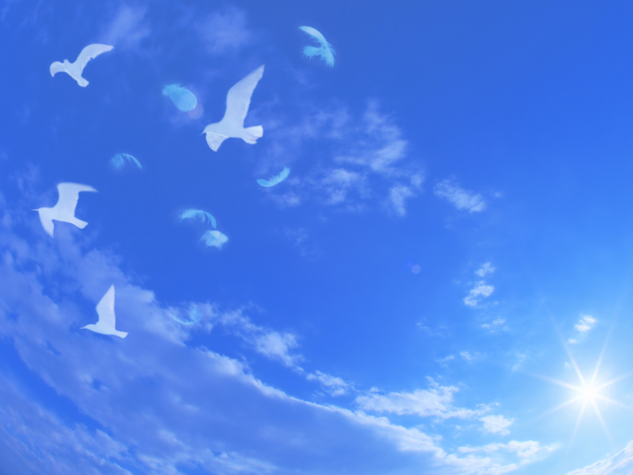 Das White Birds In Blue Skies Wallpaper 1280x960