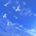 Das White Birds In Blue Skies Wallpaper 128x128